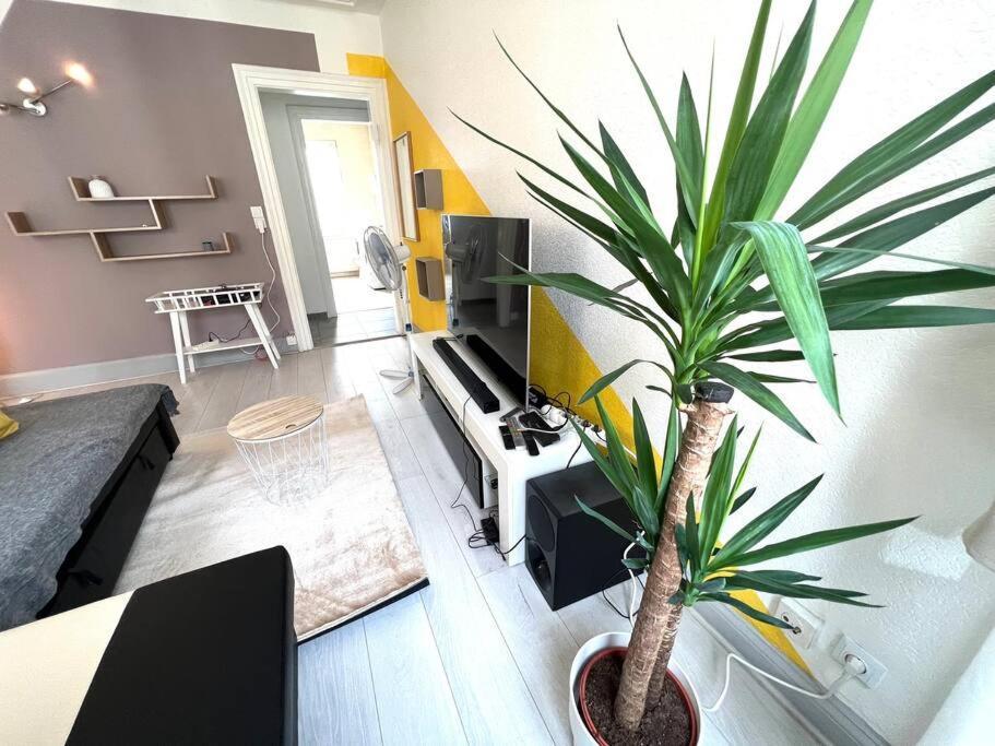 Lumiere Secrete Mulhouse Centre Parking Tram Apartment Luaran gambar